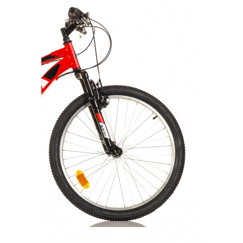Men's bicycle 24'' ''RING'', red/black