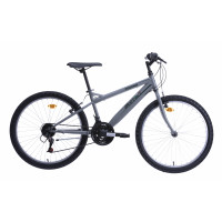 Men's bicycle 24'' ''TORINO'', gray